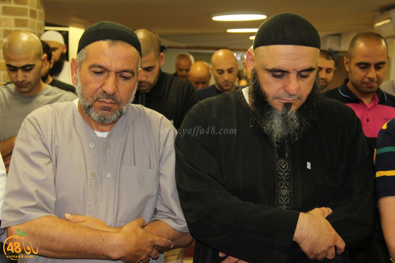 trawe7 mohamed fateh (10).jpg